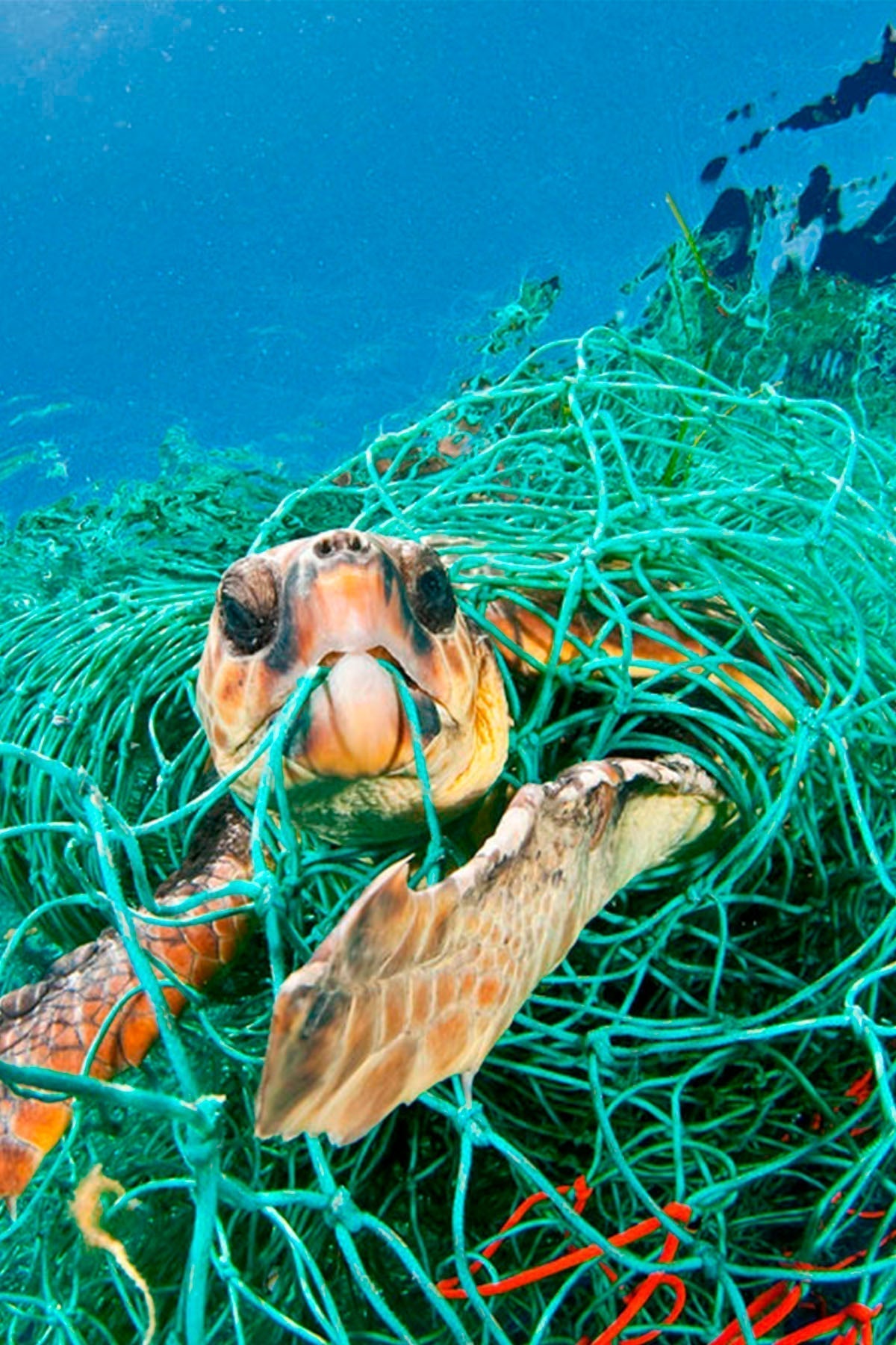 De deshecho marino a hilo, una historia de diseño consciente, producción ética y amor por el planeta